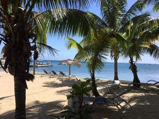 Tita's Pink Seahorse Bar